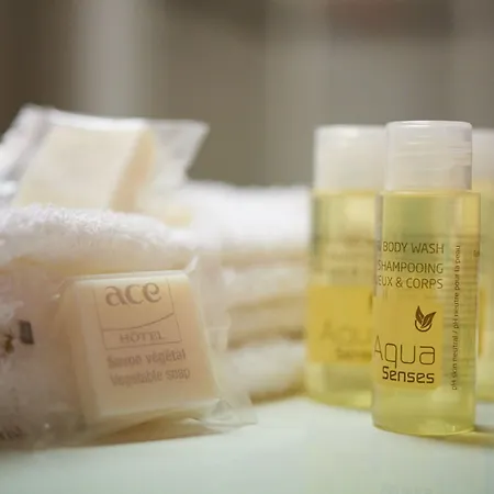 Ace Paris Marne La Vallee Hotel Bailly-Romainvilliers