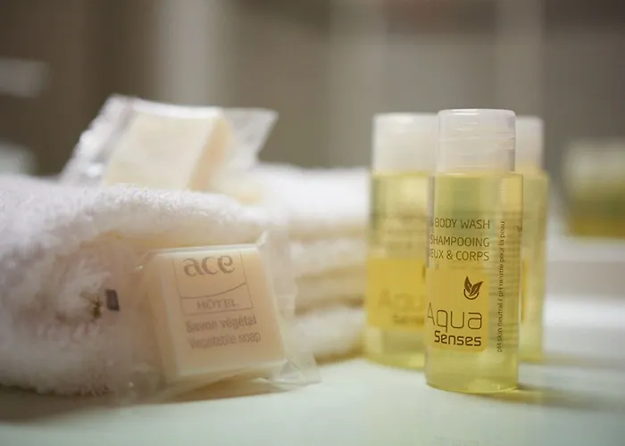 Ace Paris Marne La Vallee Hotel Bailly-Romainvilliers